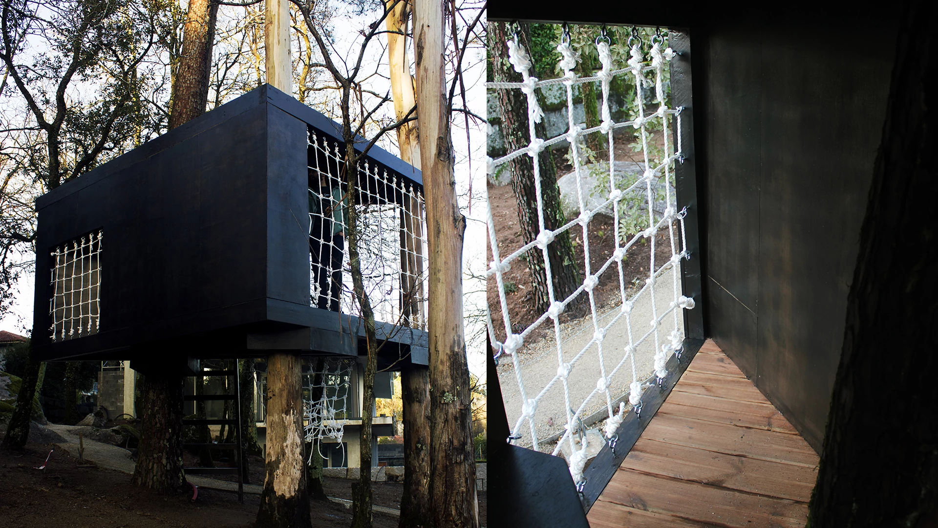 Casa da Árvore - Imagem 4