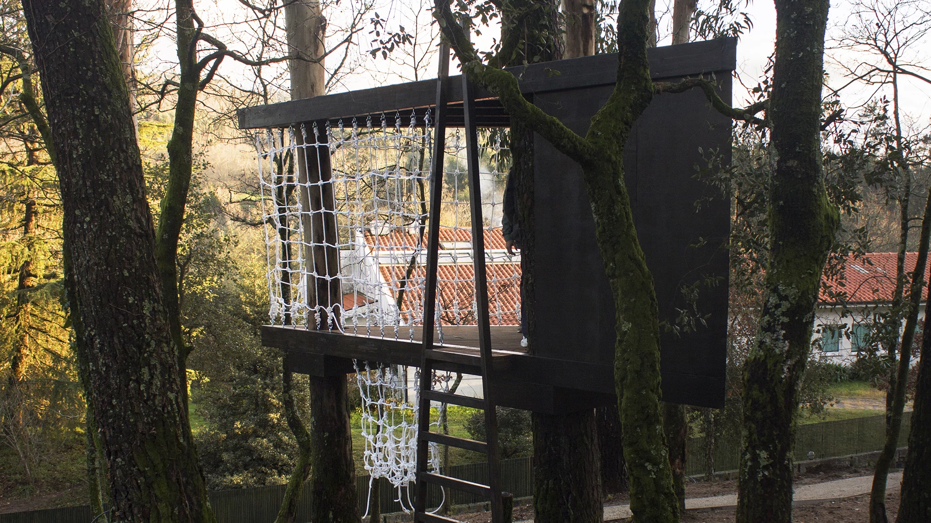 Casa da Árvore - Imagem 2