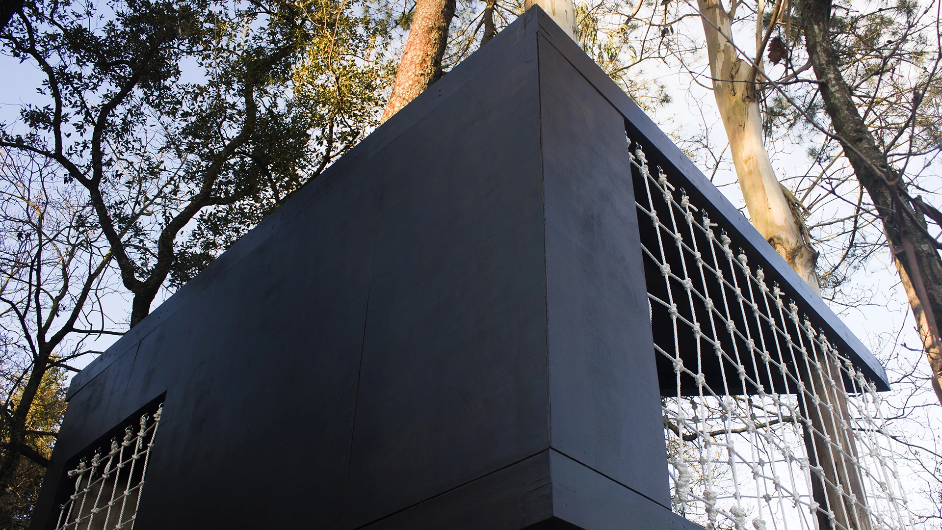 Casa da Árvore - Imagem 3